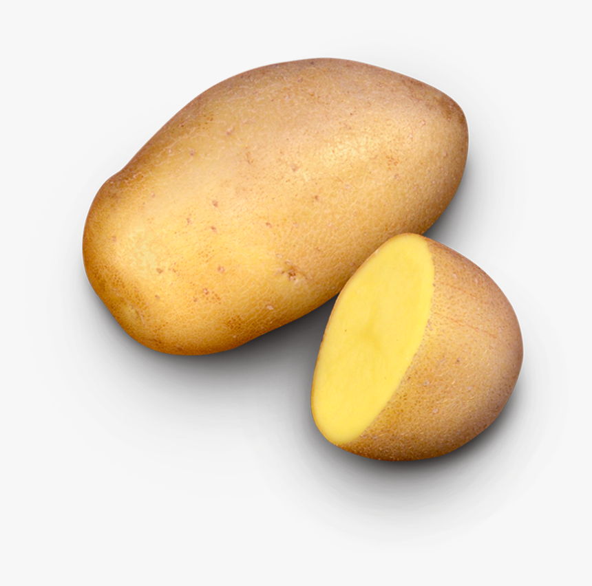 Russet Burbank Potato, HD Png Download