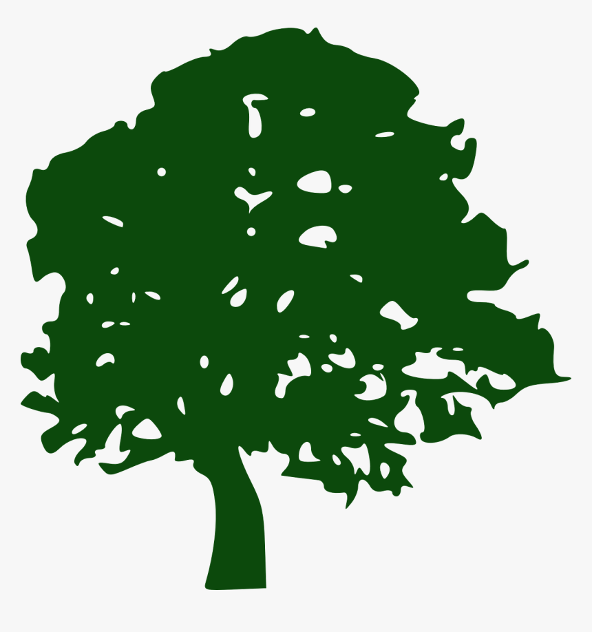 Tree Pine Southern Live Oak Clip Art - Green Tree Silhouette Png, Transparent Png