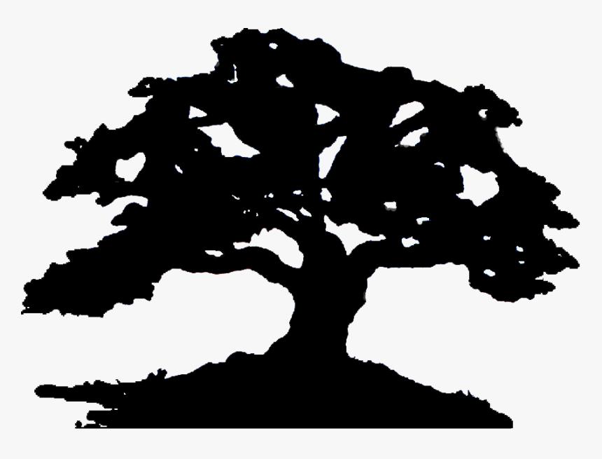 Art & Wine Gallery Fundraisers, HD Png Download