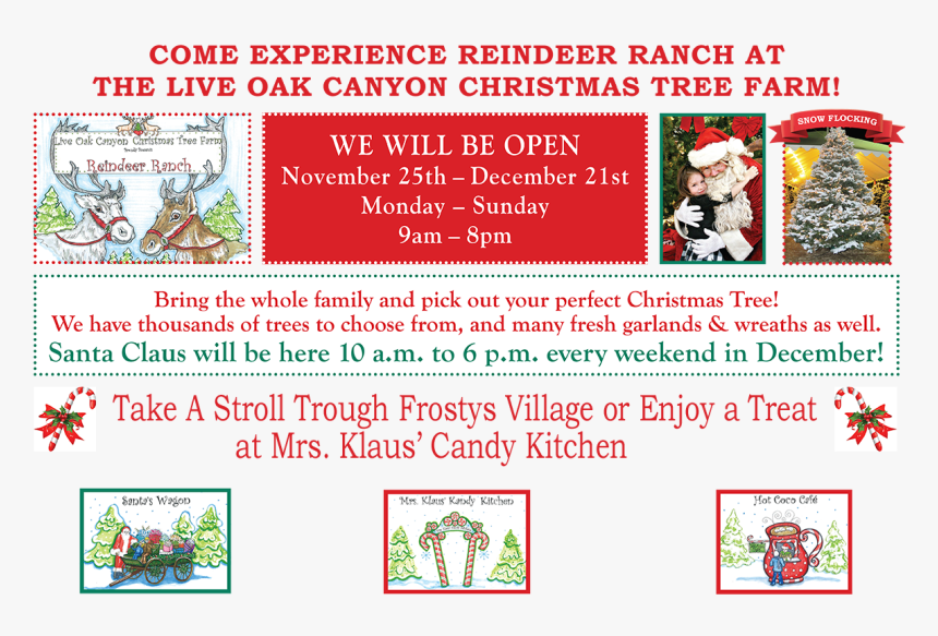 Transparent Live Oak Tree Png - Live Oak Canyon Frosty Village, Png Download