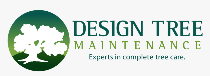 Design Tree Maintenance Inc - Graphic Design, HD Png Download