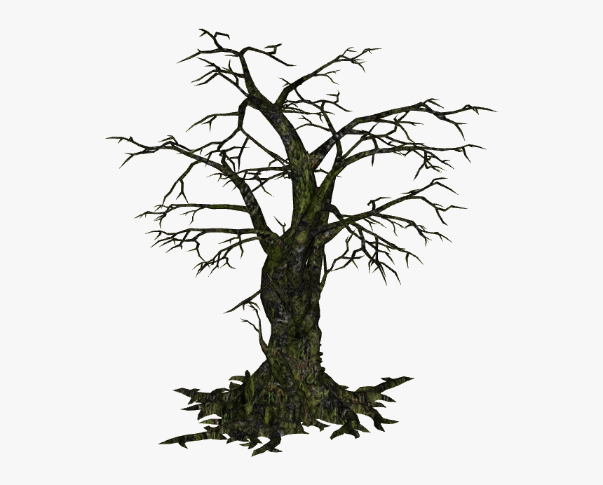 Creepy Tree - Transparent Creepy Tree Png, Png Download