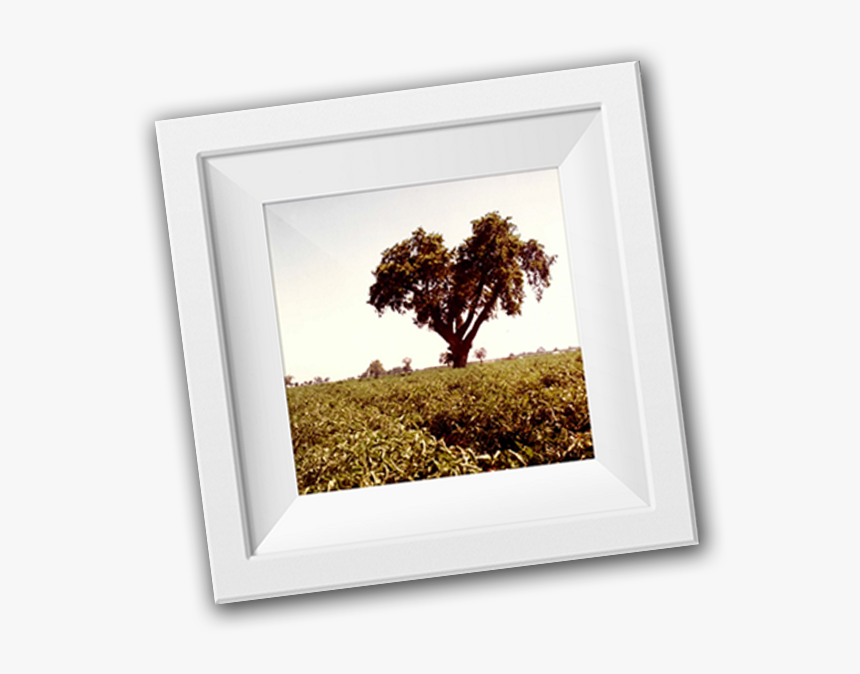 Picture Frame, HD Png Download