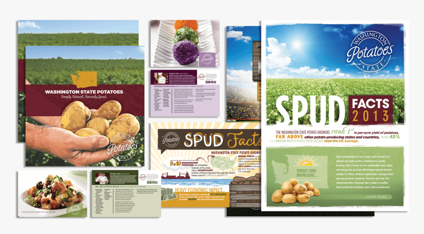 Flyer, HD Png Download
