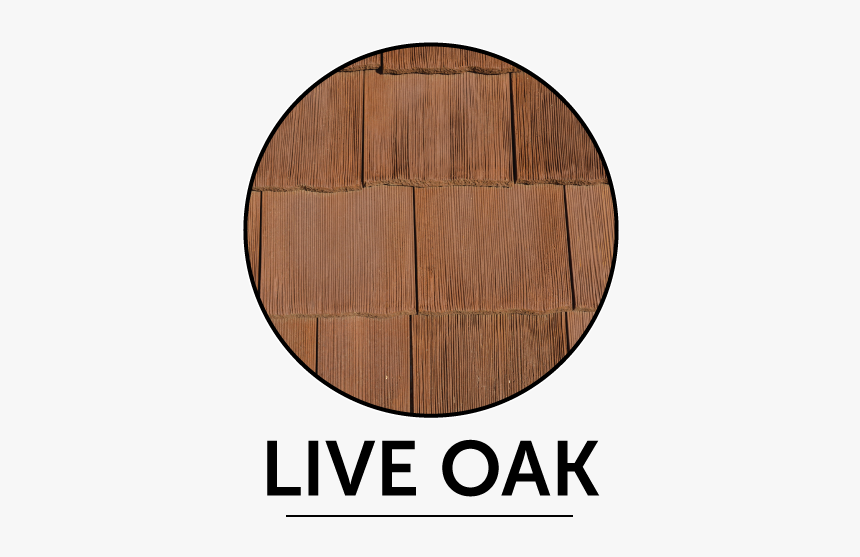 Cedur Live-oak Color Sample - โลโก้ เมา ไม่ ขับ, HD Png Download