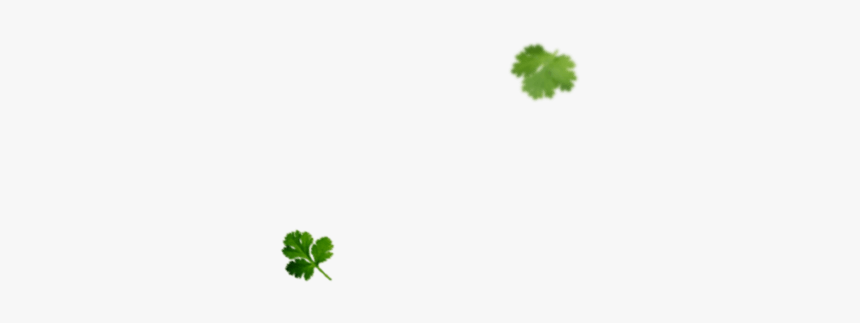 Tree, HD Png Download