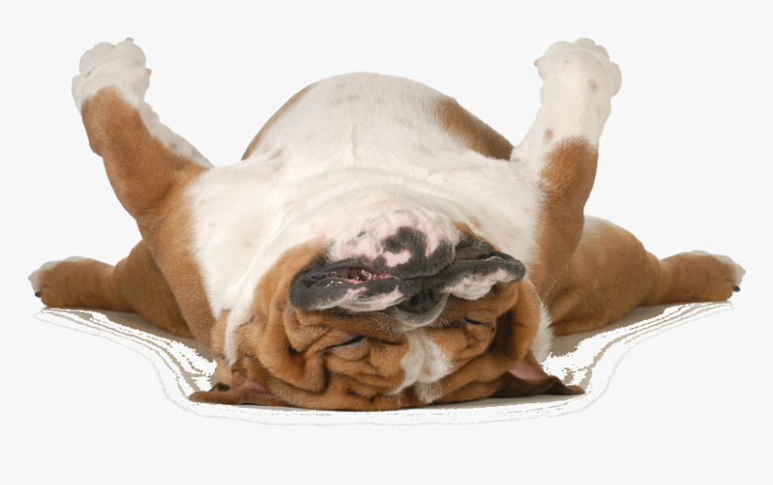 Peace, Love, And Real Talk- Schleepy, HD Png Download