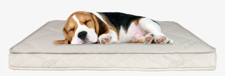 Dog Mattress Bed, HD Png Download
