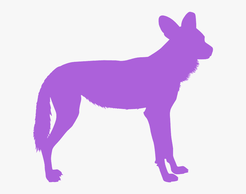 Dark Wild Dog Art, HD Png Download