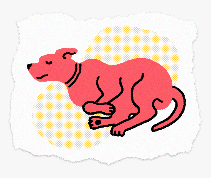 Sleeping Dog2 - Illustration - Illustration, HD Png Download