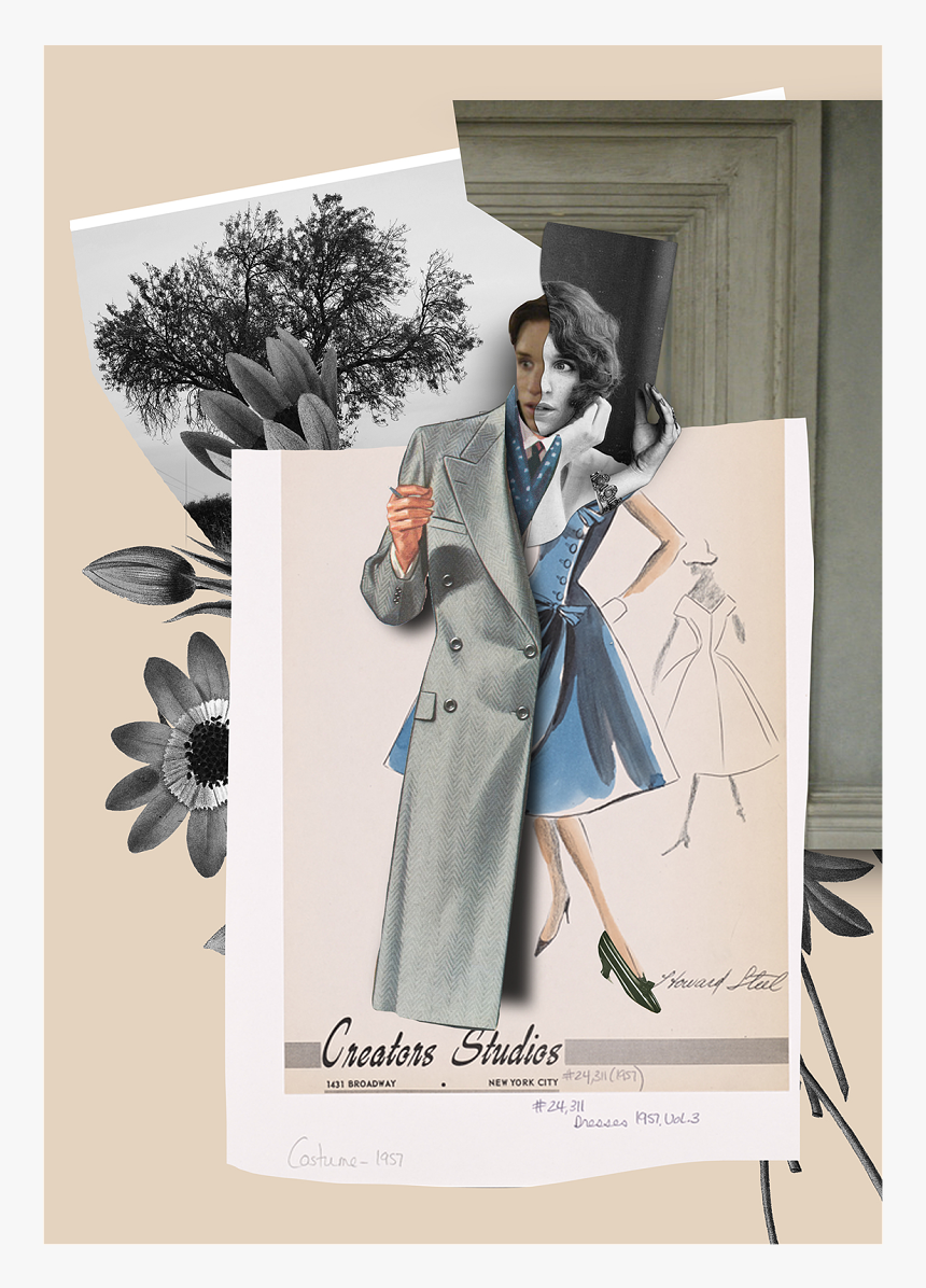 * - Bay Laurel, HD Png Download