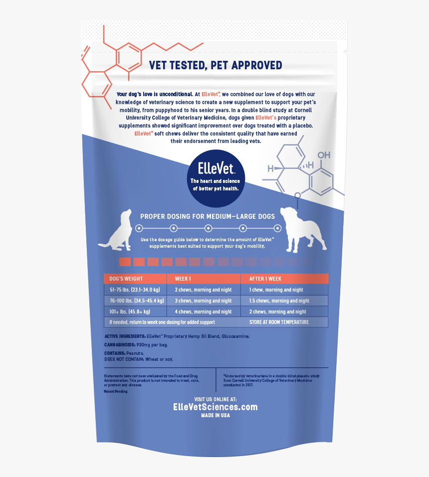 Large Dogs Mockup - African Grey, HD Png Download