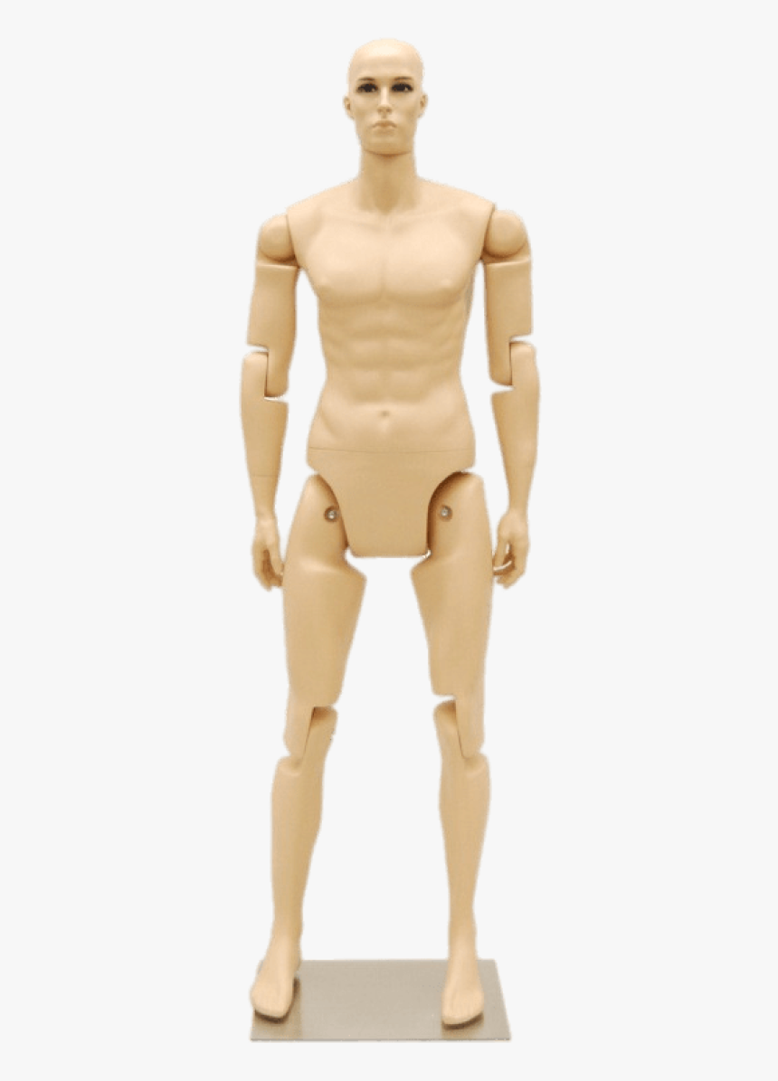 Posable Male Mannequin, HD Png Download