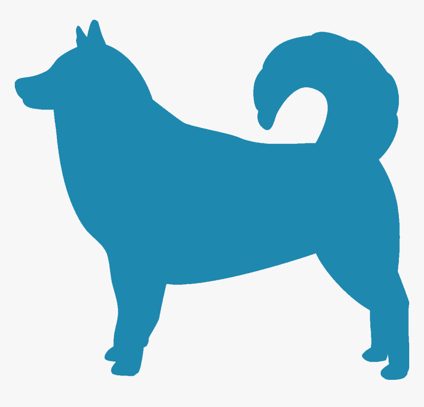 Alaskan Malamute - Companion Dog, HD Png Download