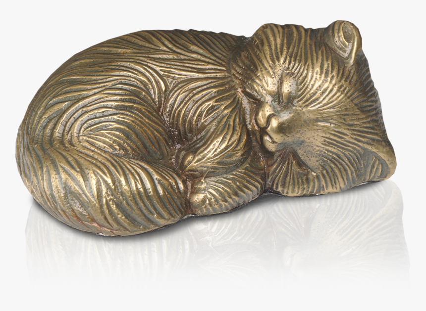 Paw, HD Png Download