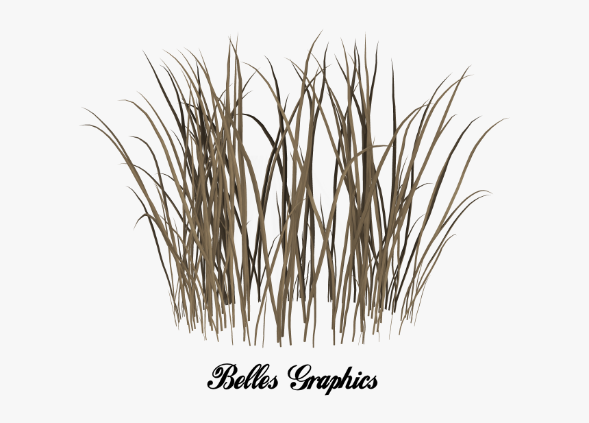 Dead Grass Png, Transparent Png