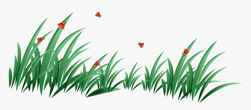 Grass Png Image - Grass Vector, Transparent Png