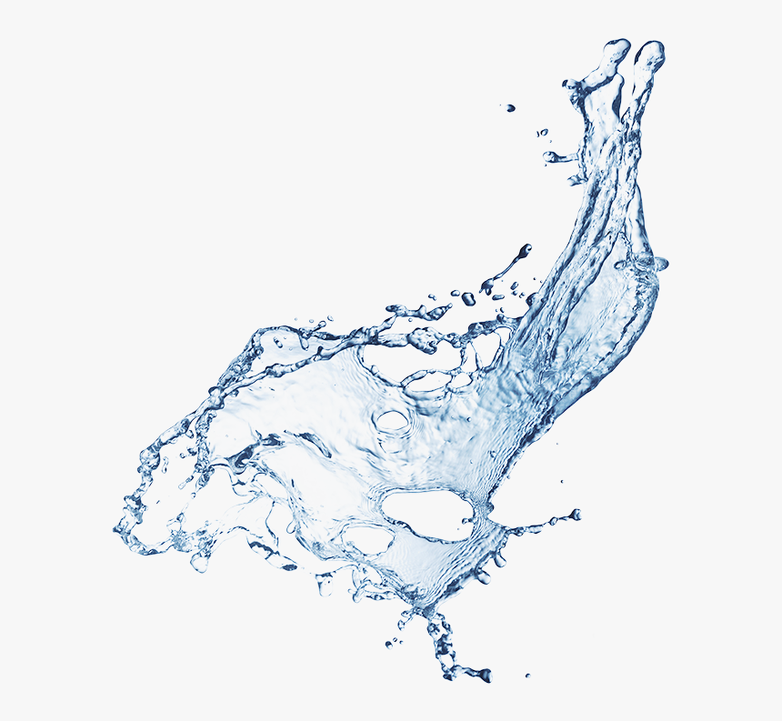 Sketch, HD Png Download