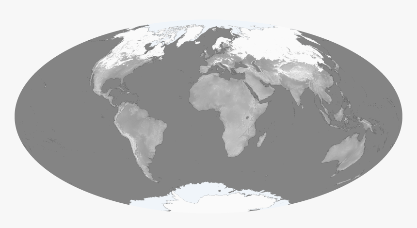 Snow Cover - Do African Grey Parrots Live, HD Png Download