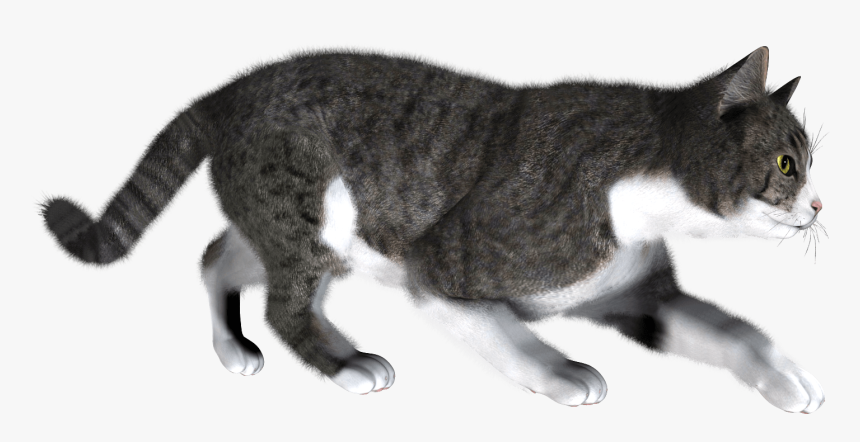 Cat Png - Cat Walking Transparent Background, Png Download