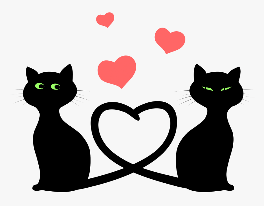Cat Png, Transparent Png