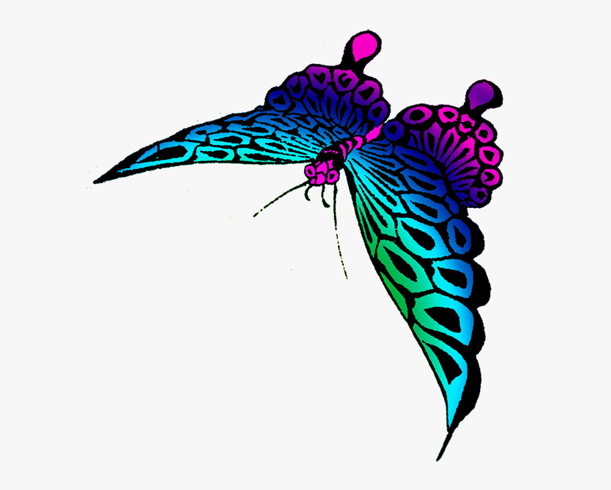 Strange Colored Butterfly Image - Transparent Colorful Butterfly, HD Png Download