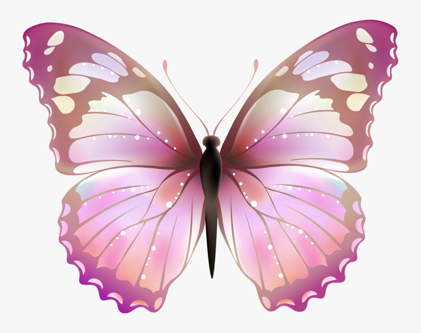 Clip Art Lavender Butterfly, HD Png Download , Transparent Png Image