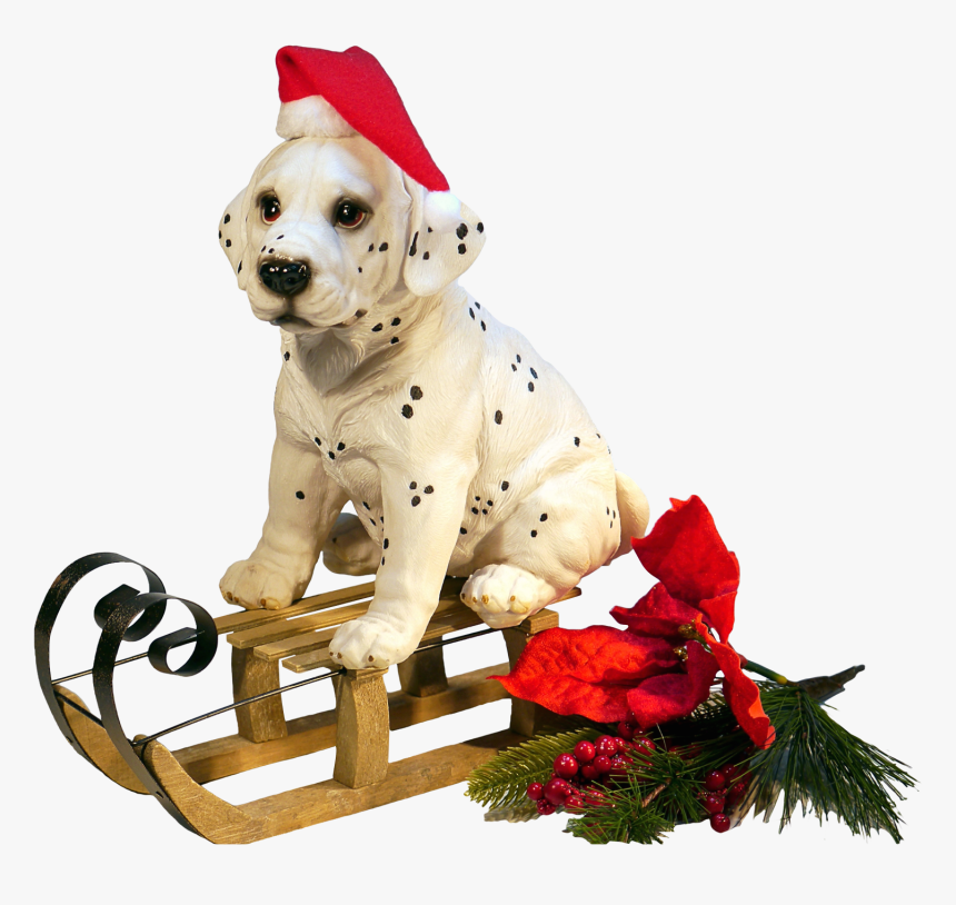 Christmas Dog Png, Transparent Png