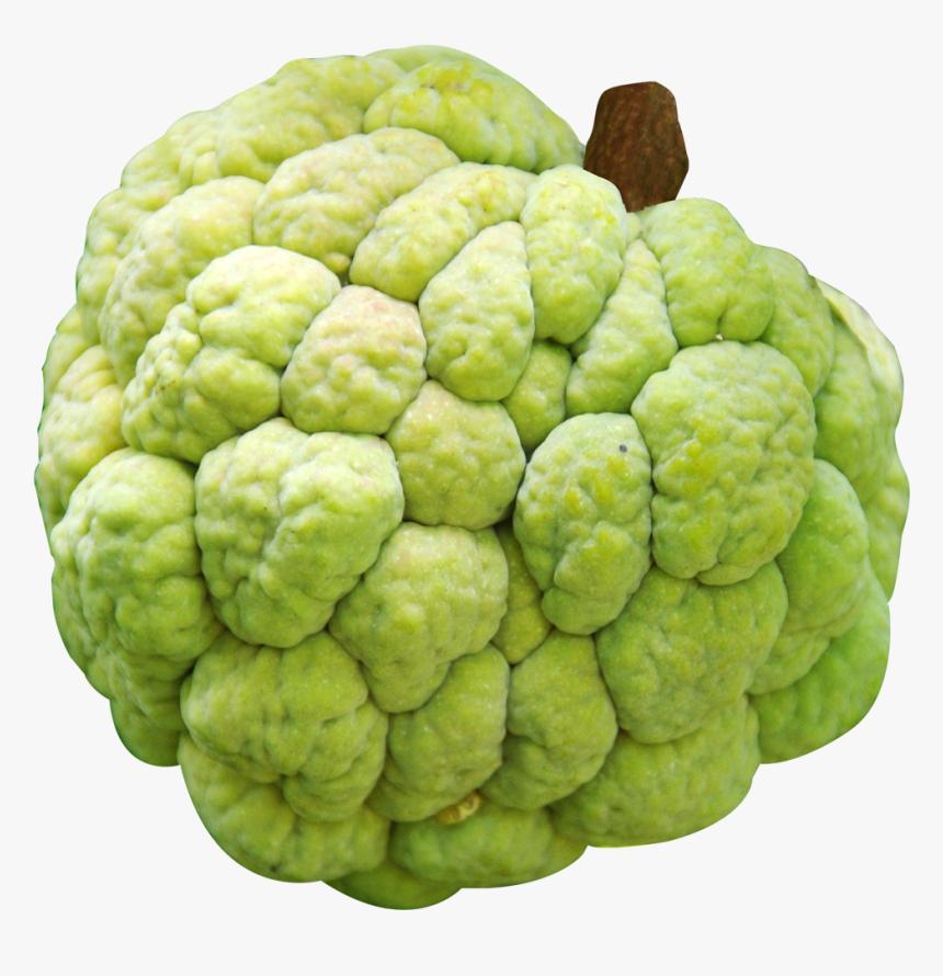 Custard Apple - Custard Apple Variety In India, HD Png Download