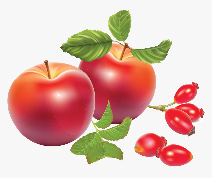 Rose Hip, HD Png Download