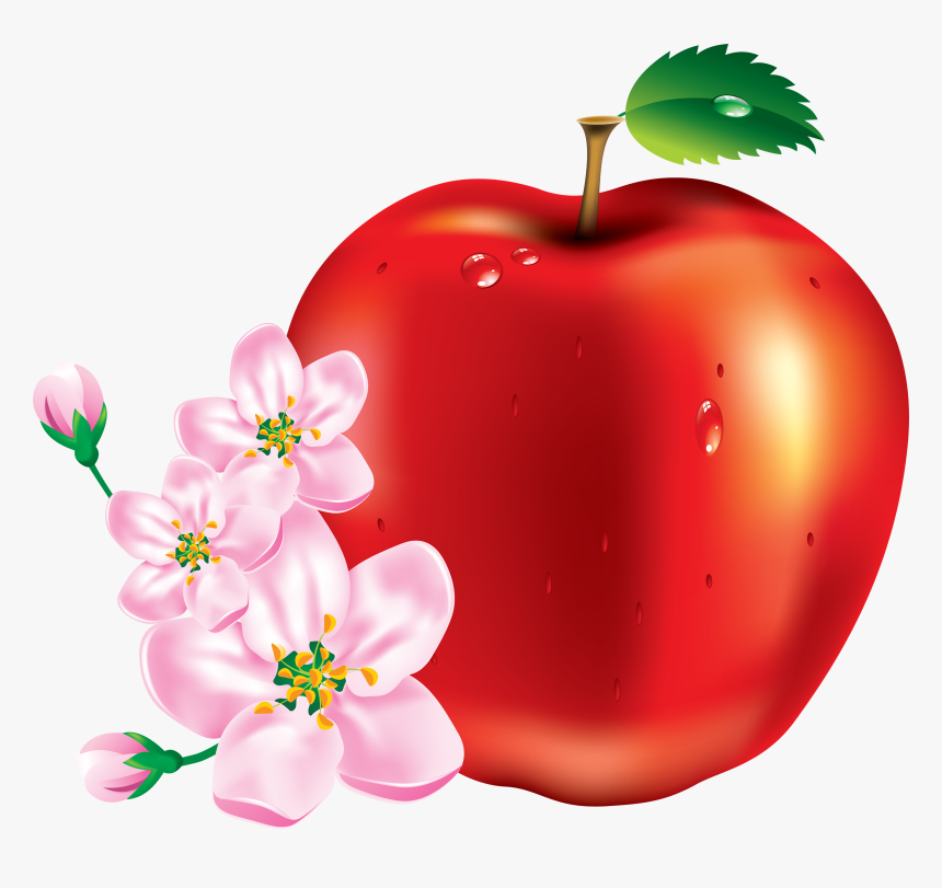 Apple Fruit Flower, HD Png Download