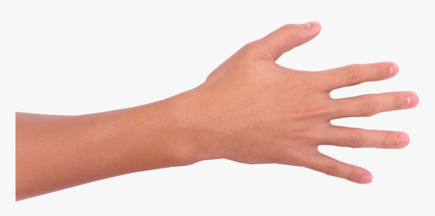 Mão Png, Transparent Png