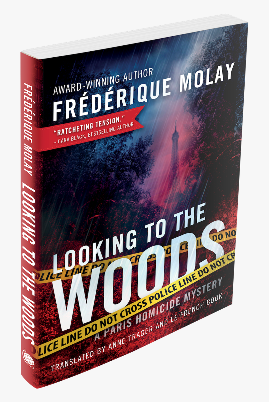 Lookingtothewoods-3d Copy - Book Cover, HD Png Download