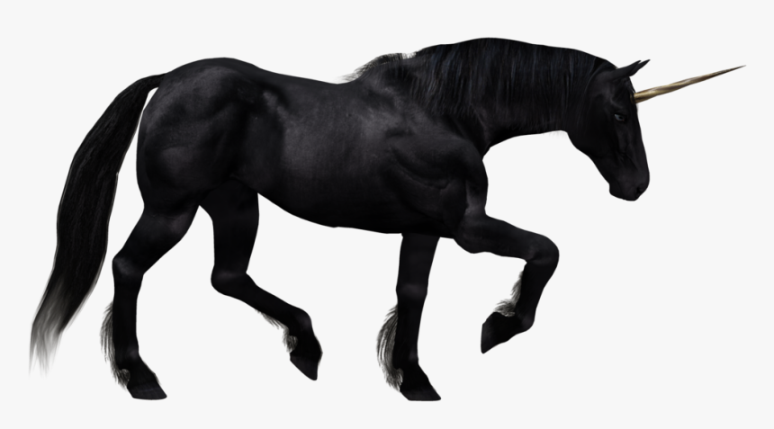 Unicorn Png Image - Black Unicorn White Background, Transparent Png