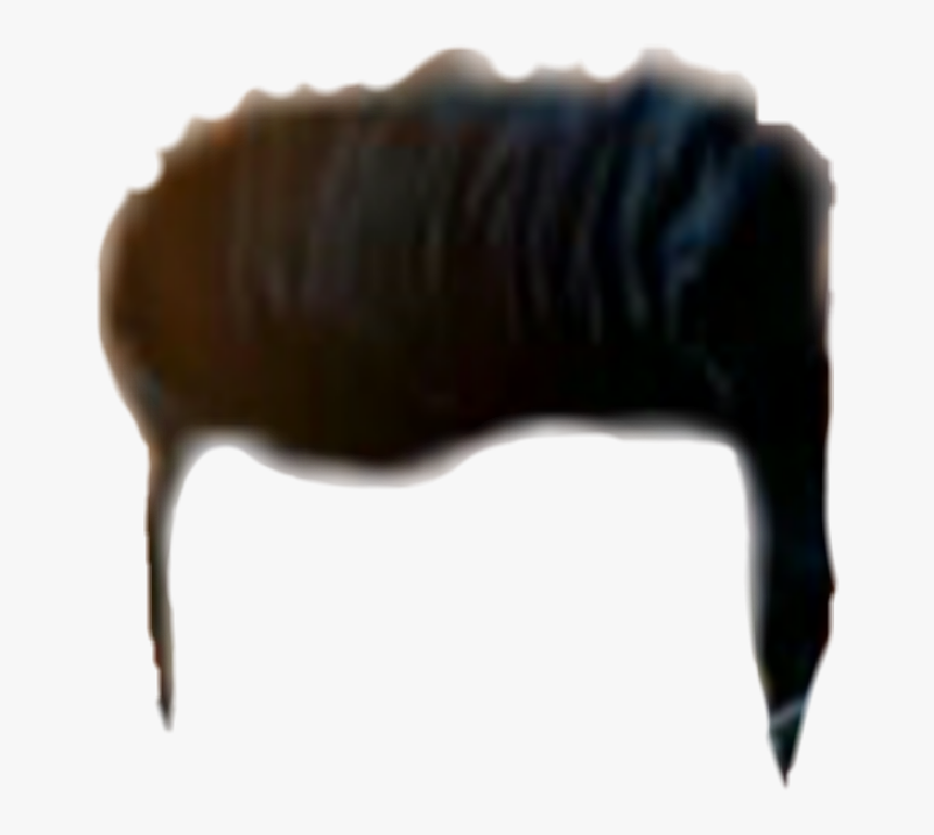 Hair Png, Hair Png Cb, Picsart Hair Png, Cb Hair Png, - Insect, Transparent Png