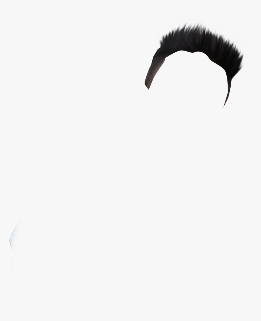 Parachuting, HD Png Download