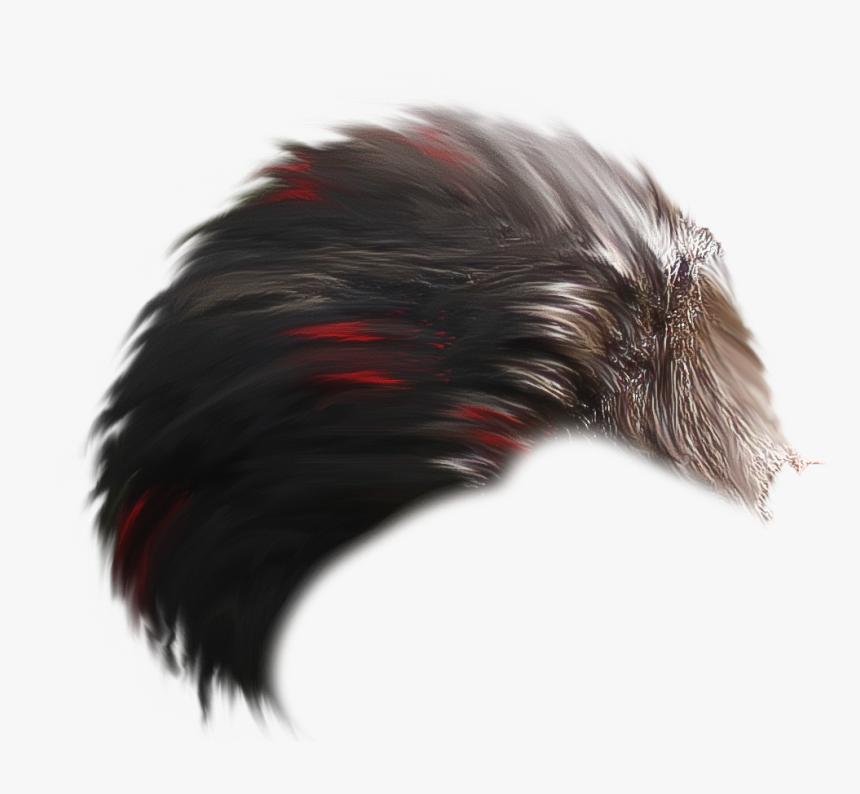 Holi Backgrounds Download Hd, HD Png Download