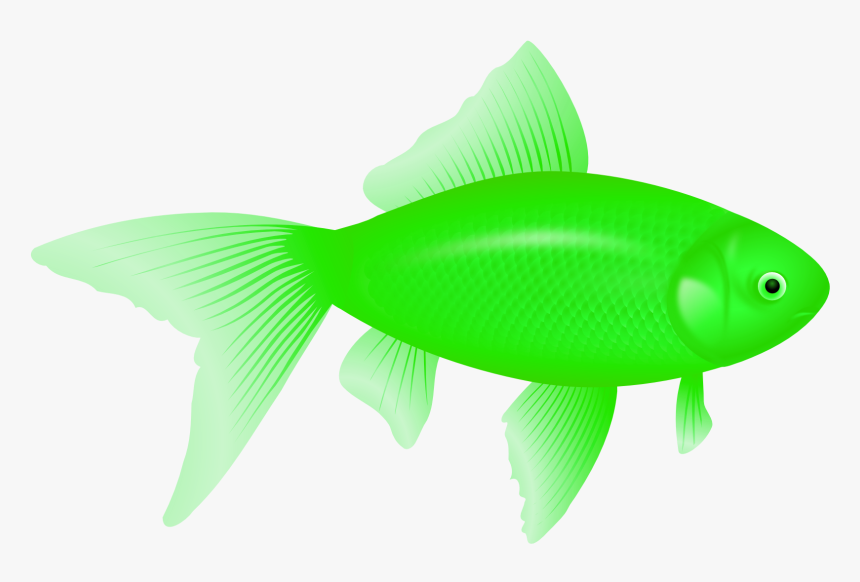 Transparent Background Red Fish Clipart, HD Png Download