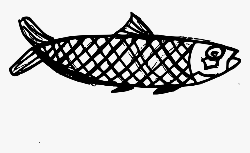 Fish Drawing Png, Transparent Png