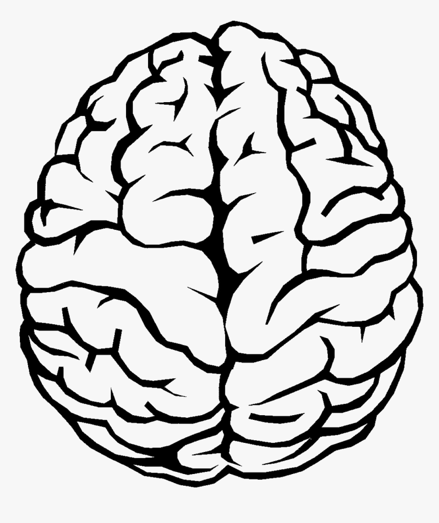 Brain Outline Png Image - Brain Clipart, Transparent Png