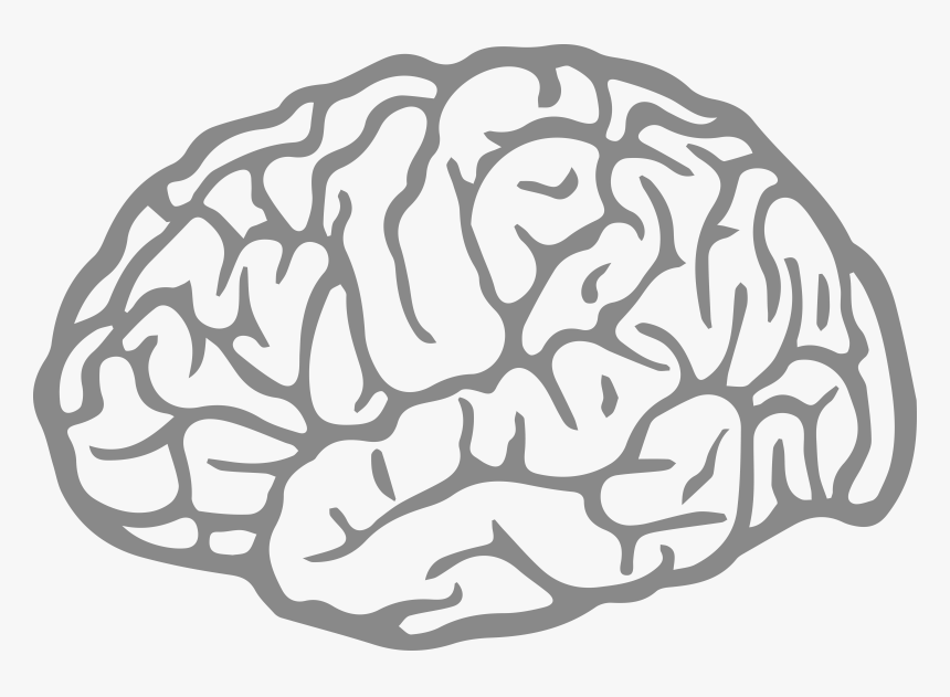 Brain Agy Fatigue - Cerebro Vetor Png, Transparent Png