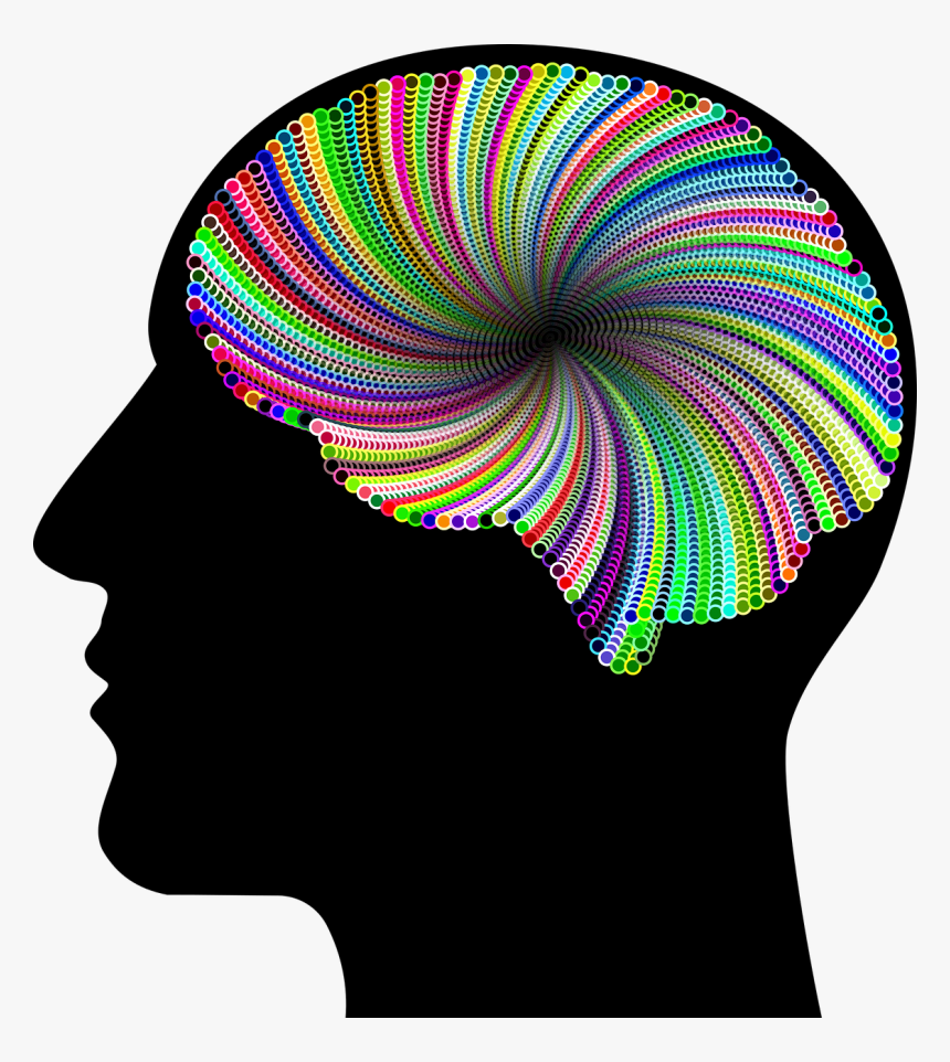 Line,headgear,brain - Human Brain, HD Png Download