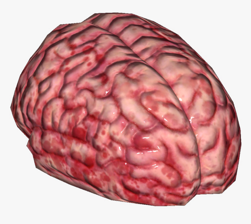 Brain (as Food), HD Png Download