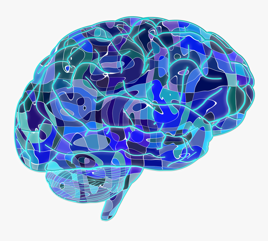 Brain Navigation, HD Png Download