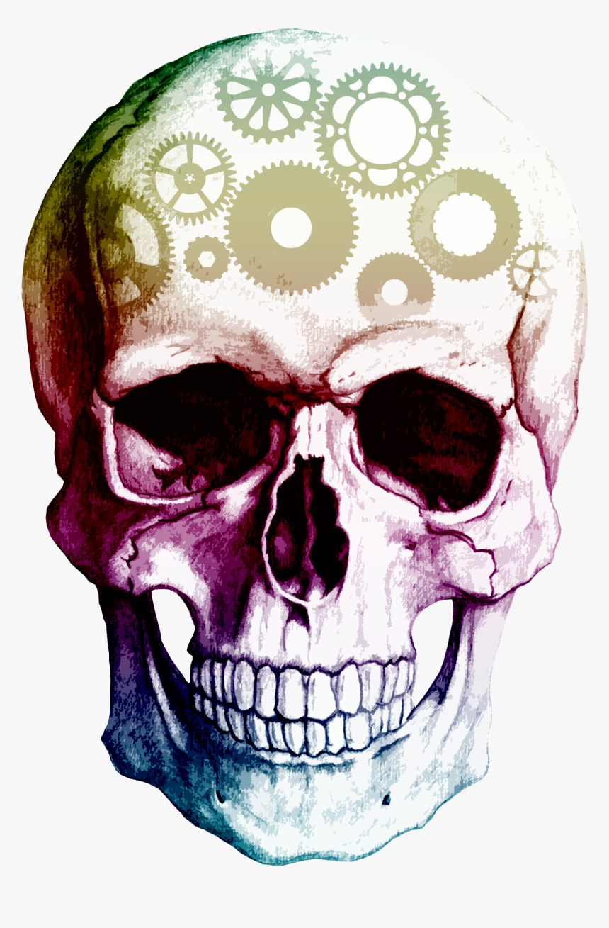 Skulls No Background, HD Png Download