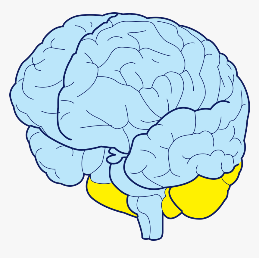 Clip Art, HD Png Download