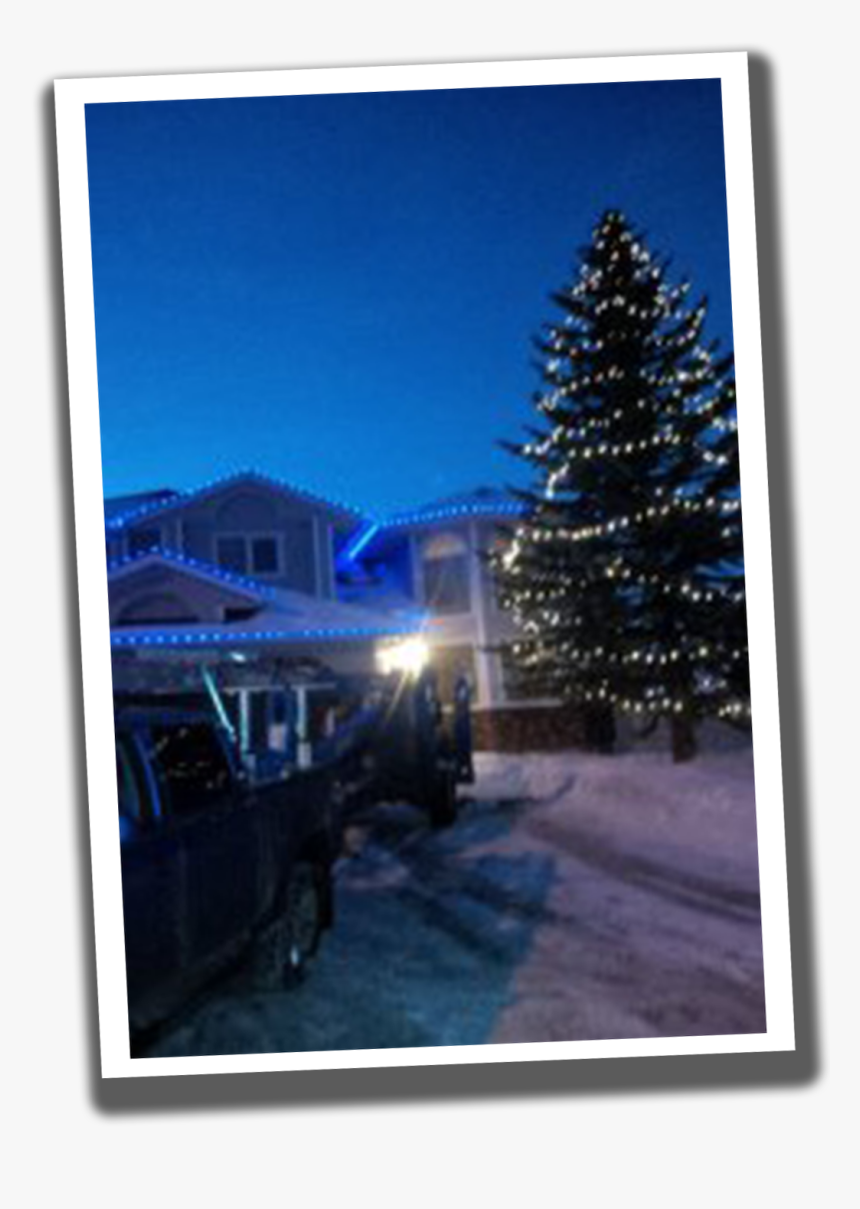 Talltree, HD Png Download