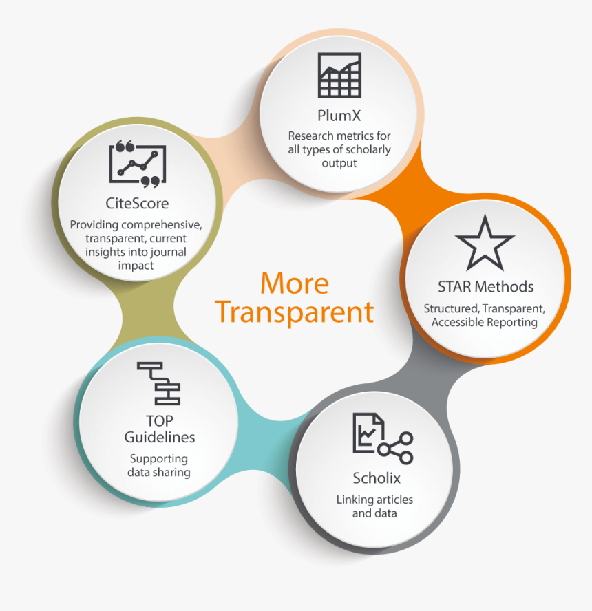 Infographic - Circle, HD Png Download