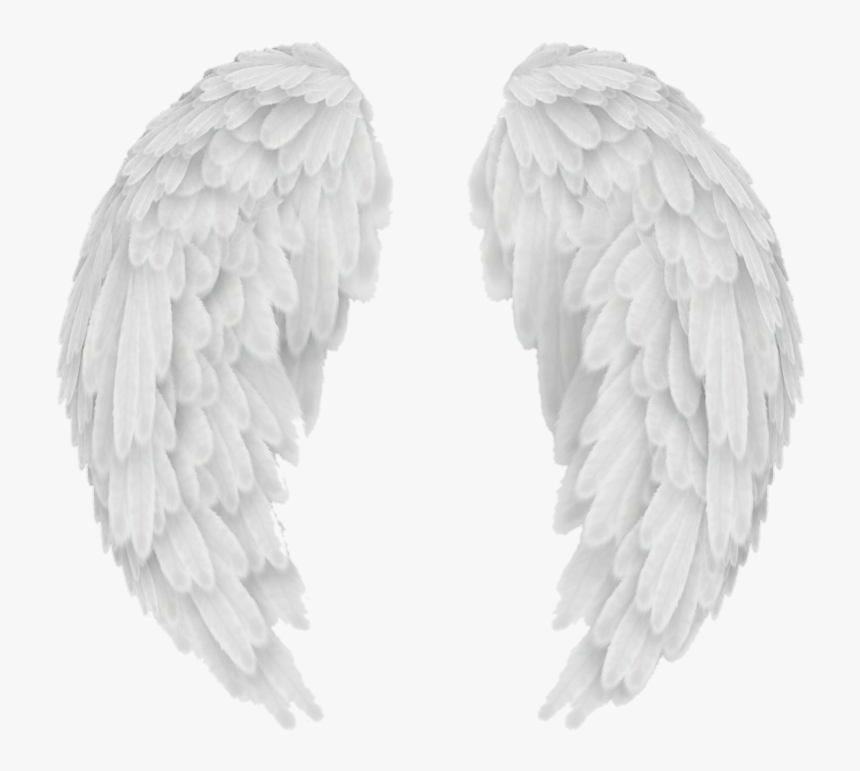 Transparent Background Angel Wings Png, Png Download
