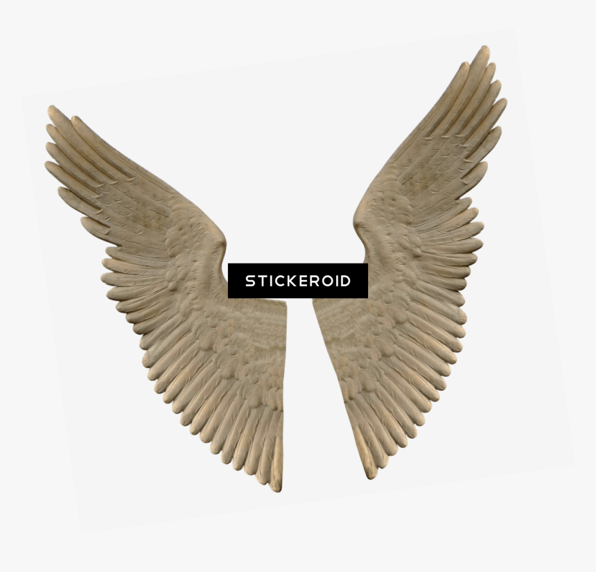 Stone Angel Wings , Png Download - Marble Statue Wings, Transparent Png
